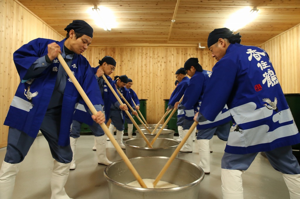 酒母　山卸し　香住鶴　日本酒